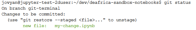 Add new file to track it.