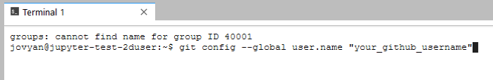 Set your Git username.