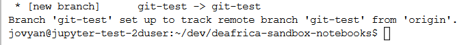 Successfully linked remote branch.