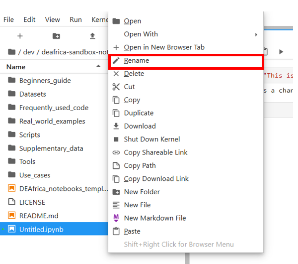 Rename the file